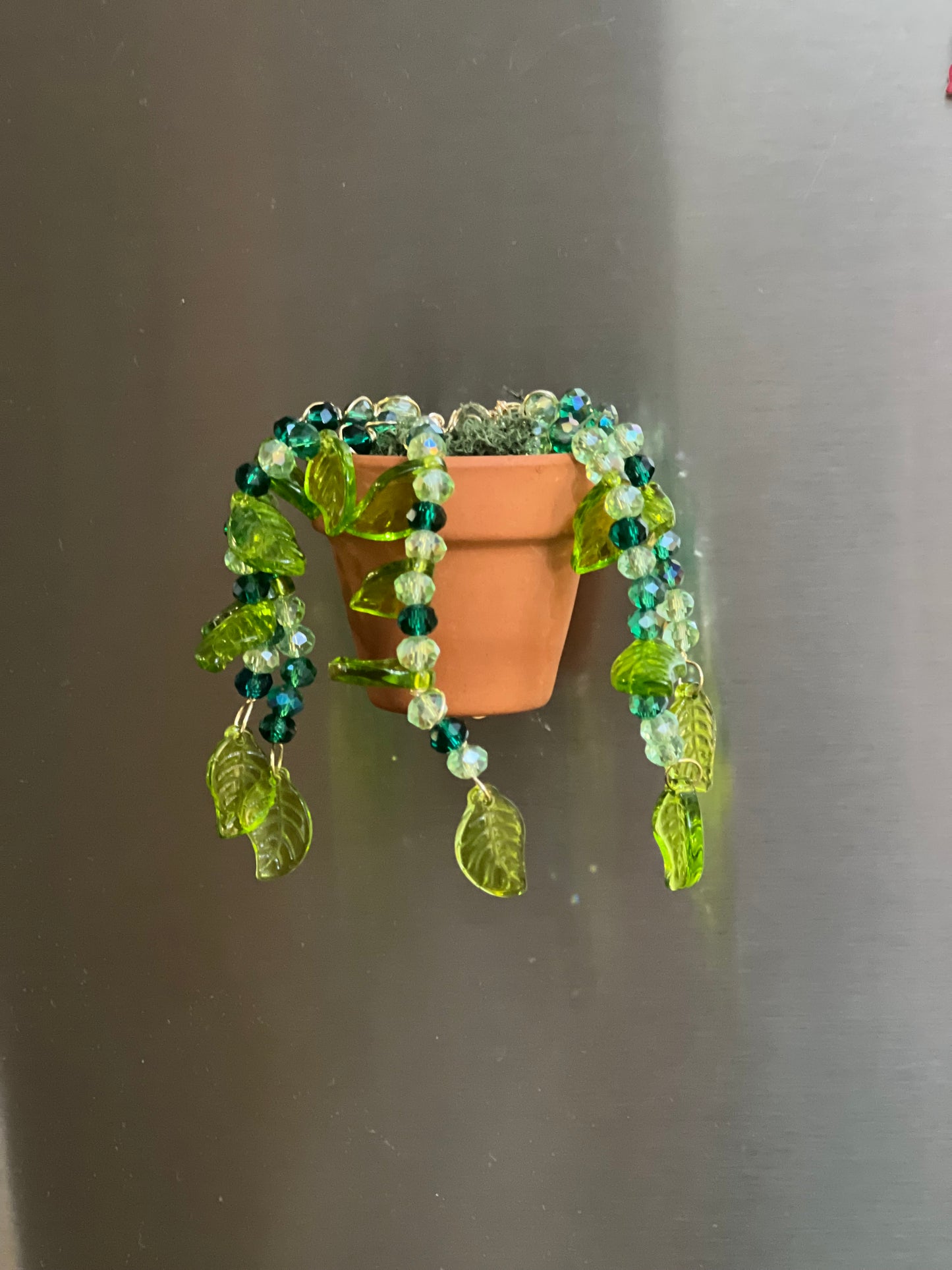 Forever Succulent Magnet