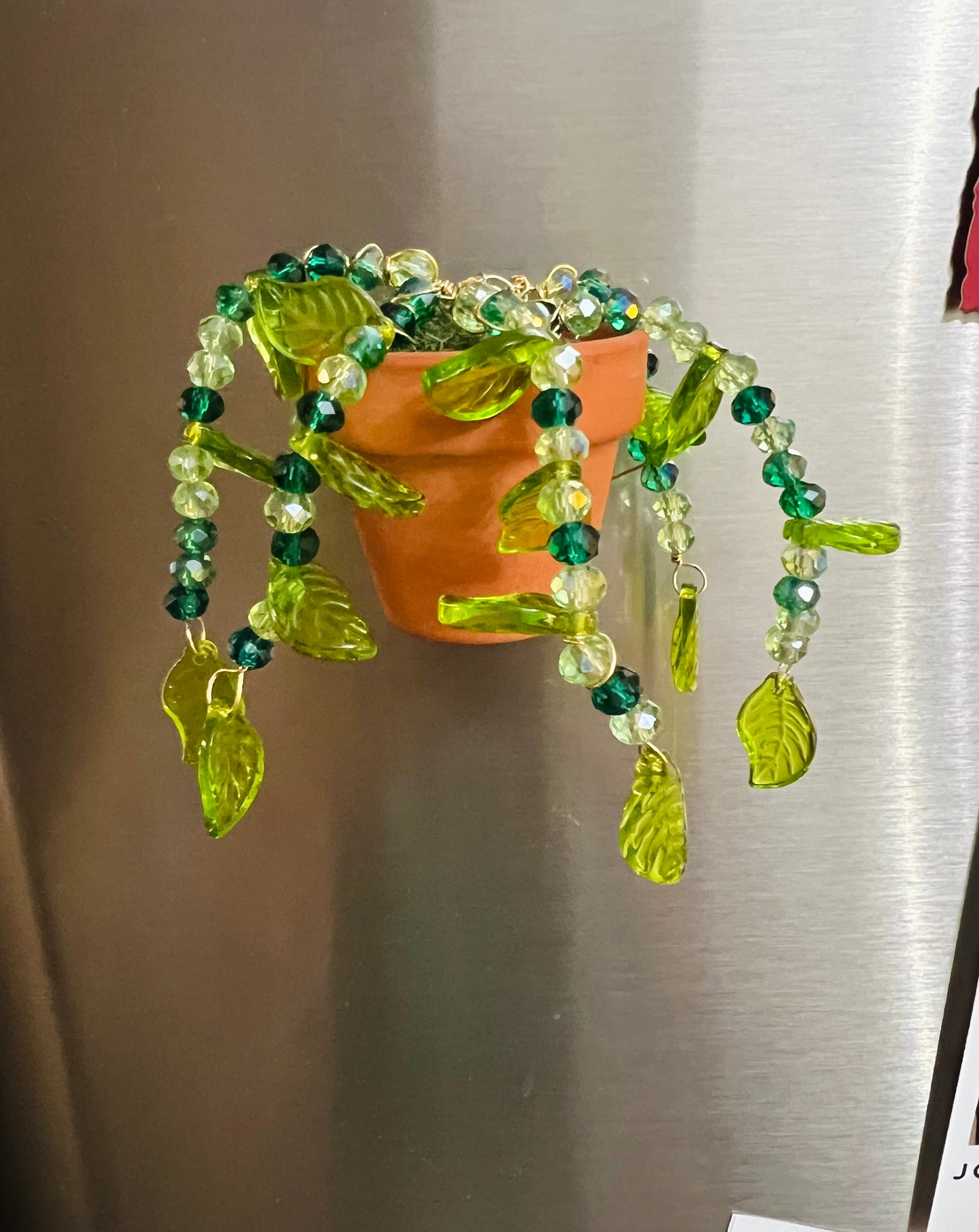 Forever Succulent Magnet