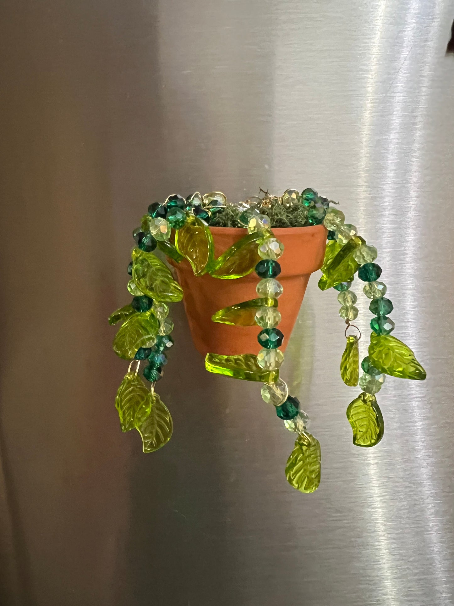 Forever Succulent Magnet