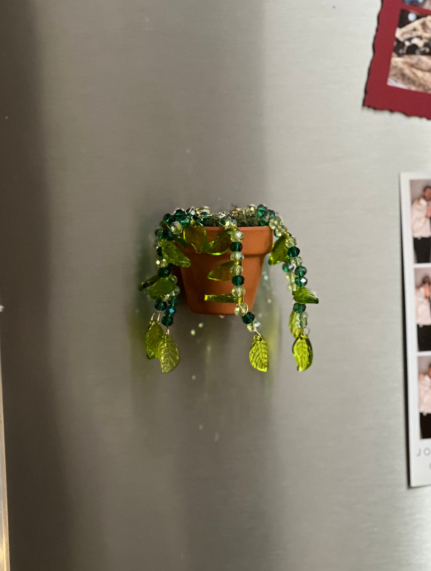 Forever Succulent Magnet