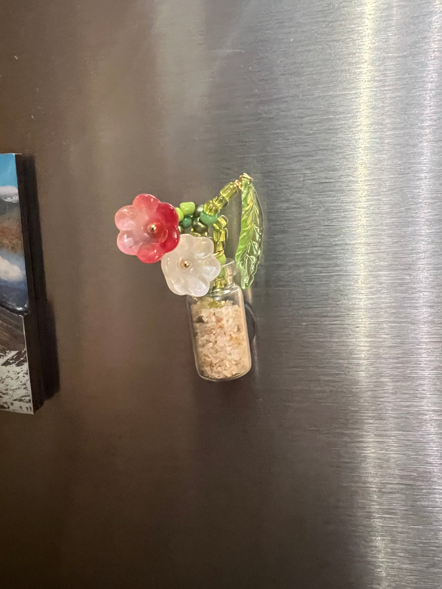 Forever Succulent Magnet