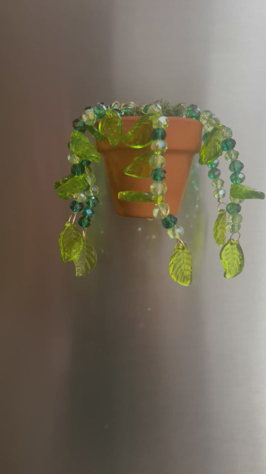 Forever Succulent Magnet